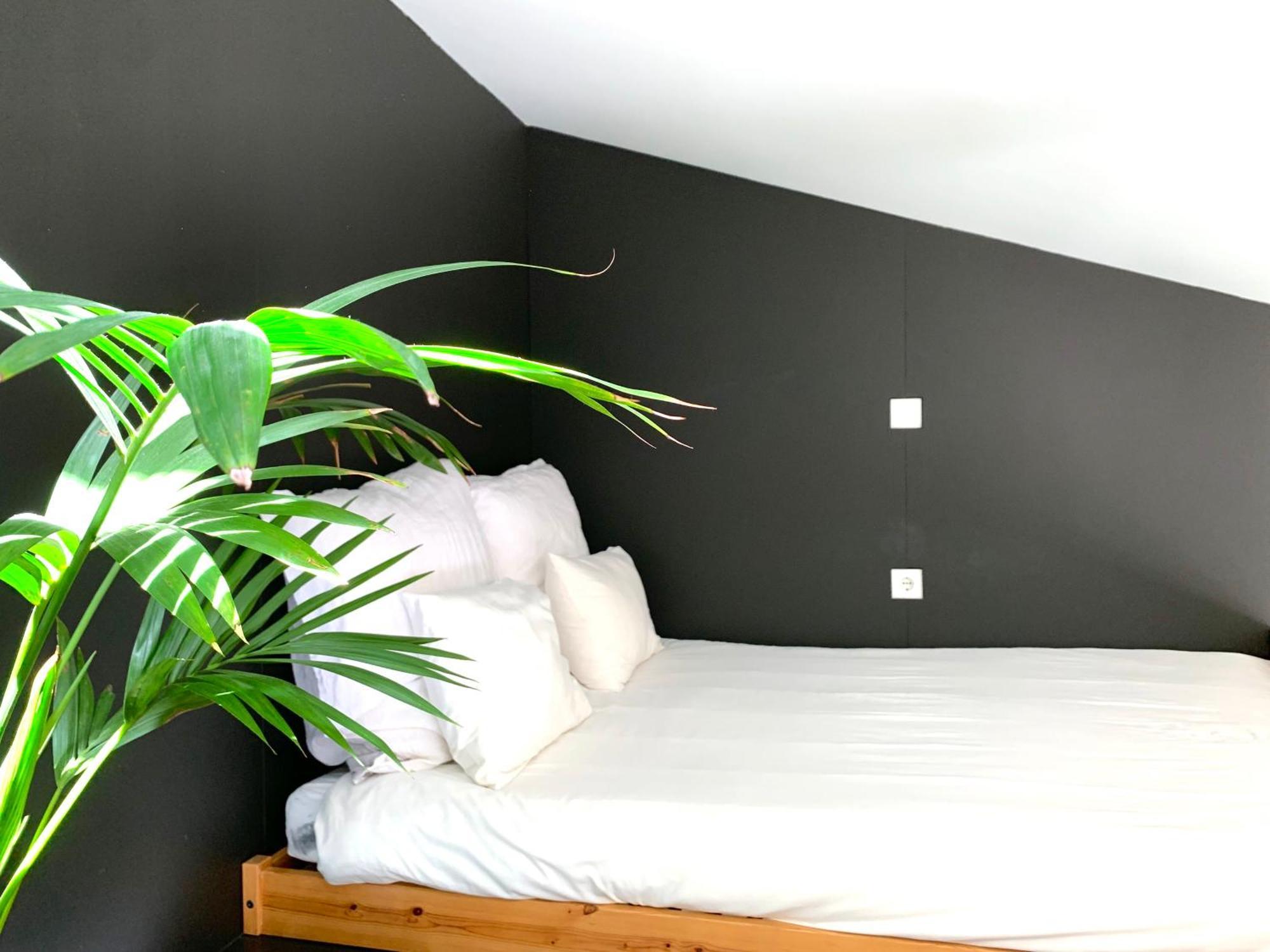 Fred'S House Asprela Hotel Porto Bilik gambar
